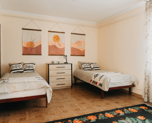 Casa Boierului - Viscauti 2